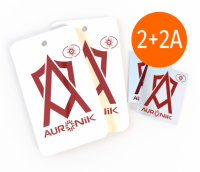 Ауроник Про + Ауроник Смарт 2+2А