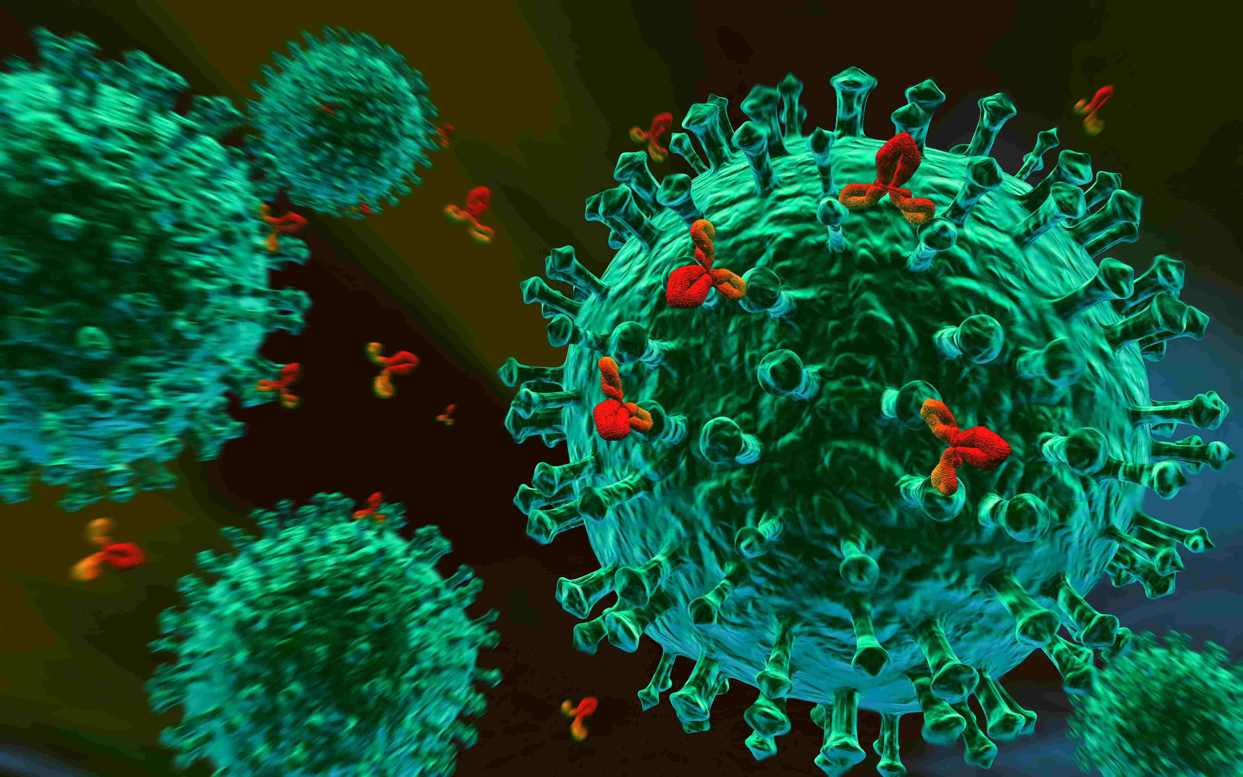 Иммунная система