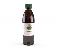Ламиго (Lamigo)